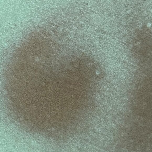 Vintage Frankoma Plainsman Prairie Green Luncheon Plate 5FS - Picture 10 of 10